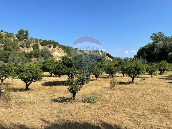 Terreno San Nicola, San Demetrio Corone, CS Vendita - Foto 3