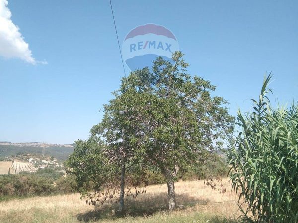 Cascina/Casale Monterosso Almo, RG Vendita - Foto 4