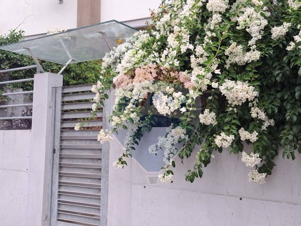 Duplex Montesilvano, PE Vendita