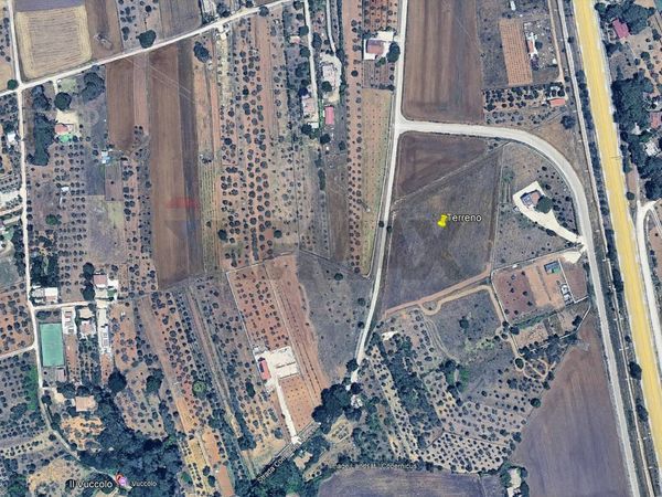 Terreno Edificabile Altamura, BA Vendita - Foto 3