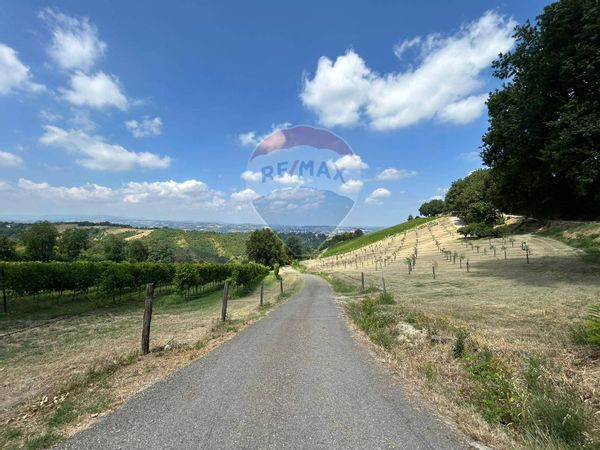 Rustico Savignano sul Panaro, MO Vendita - Foto 2