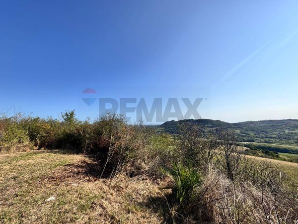 Terreno Poggio Torriana, RN Vendita - Foto 4
