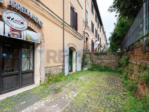 Locale Commerciale Monterotondo Paese, Monterotondo, RM Affitto - Foto 2
