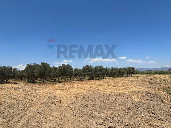 Villa o villino Sibari, Cassano all'Ionio, CS Vendita - Foto 3
