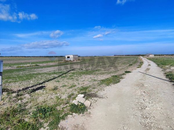 Terreno Segezia, Foggia, FG Vendita - Foto 4
