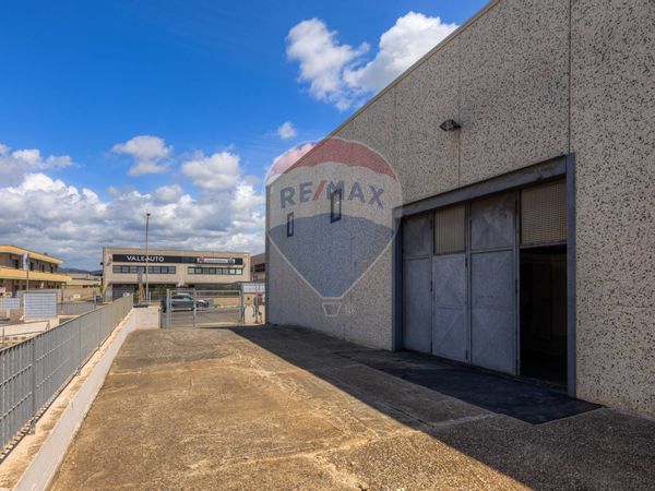 Capannone Industriale Ladispoli, RM Vendita - Foto 3