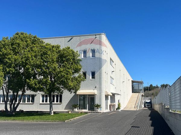 Commerciale Altro Laghetto, Monte Compatri, RM Affitto - Foto 3