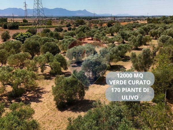 Terreno Villasor, SU Vendita - Foto 4