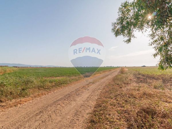 Terreno San Donato, Orbetello, GR Vendita - Foto 2