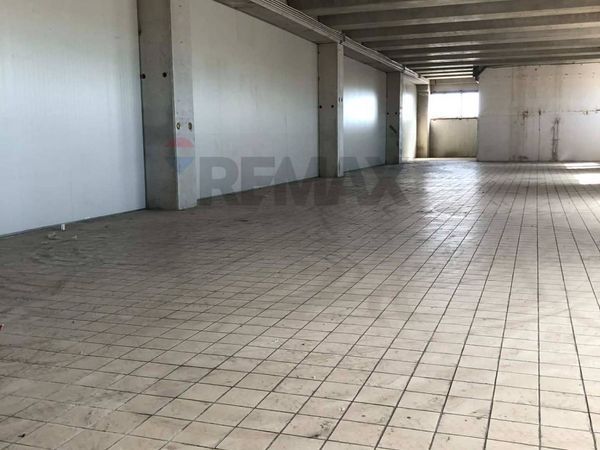 Locale Commerciale Misterbianco, CT Affitto - Foto 3