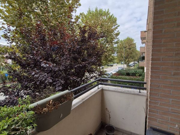 Appartamento Collecchio, PR Affitto - Foto 4