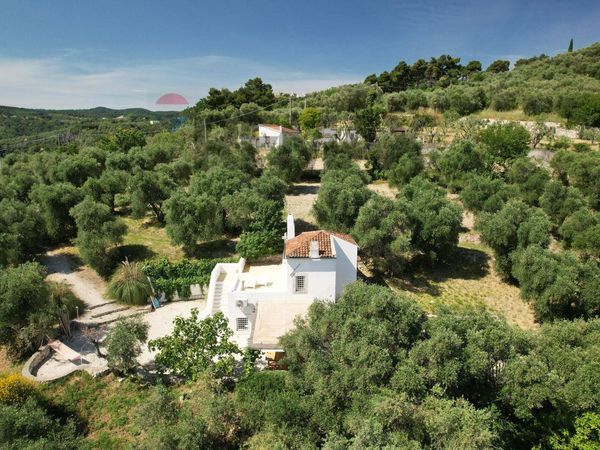 Villa o villino Vico del Gargano, FG Vendita
