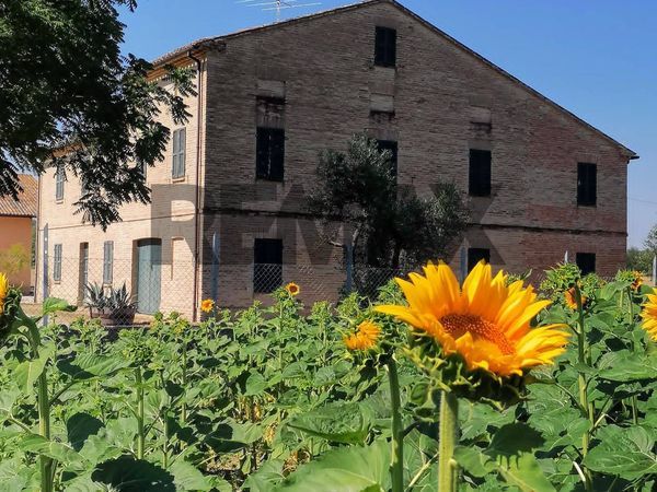 Casa Indipendente Mazzangrugno, Jesi, AN Vendita - Foto 2