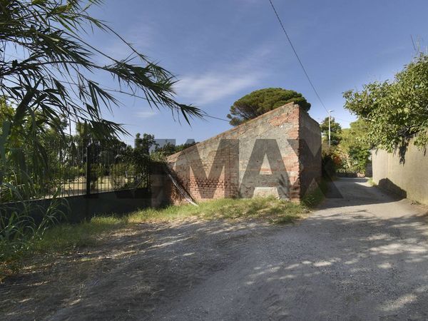 Cascina/Casale Sud, Messina, ME Vendita - Foto 2