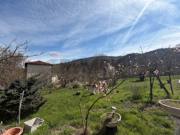 Casa Indipendente Pareto, AL Vendita - Foto 3