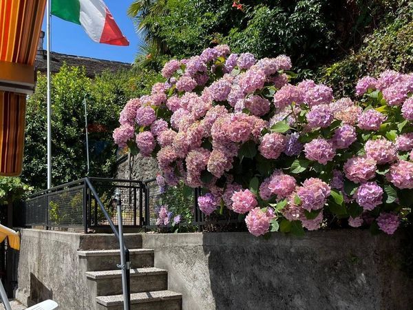 Casa Indipendente Valle Cannobina, VB Vendita - Foto 3
