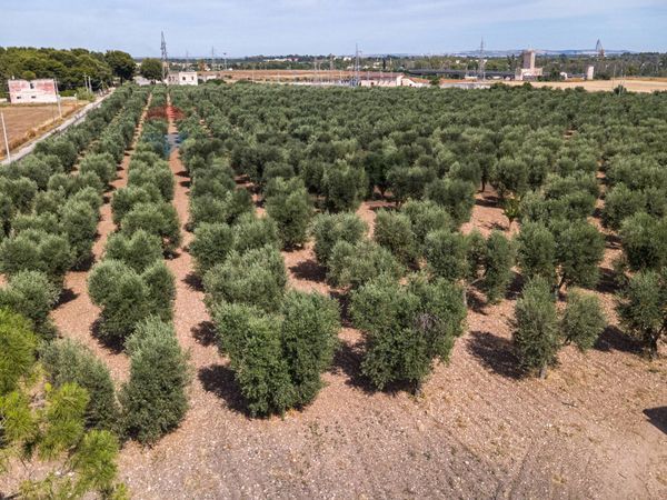 Terreno Tamburi, Taranto, TA Vendita - Foto 3