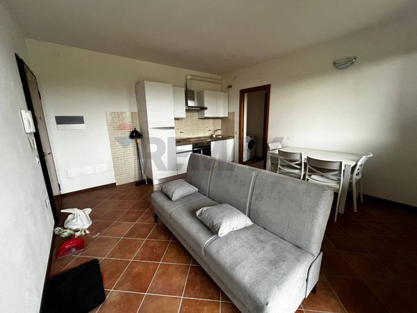 Appartamento Cona, Ferrara, FE Affitto - Foto 2