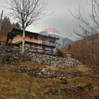 Appartamento Lasen, Feltre, BL Vendita - Foto 3