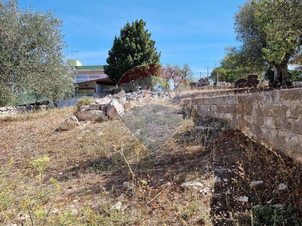 Baita/Chalet/Trullo Cisternino, BR Vendita - Foto 3