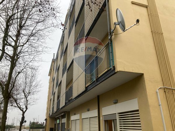 Appartamento Lido di Classe, Ravenna, RA Vendita - Foto 4