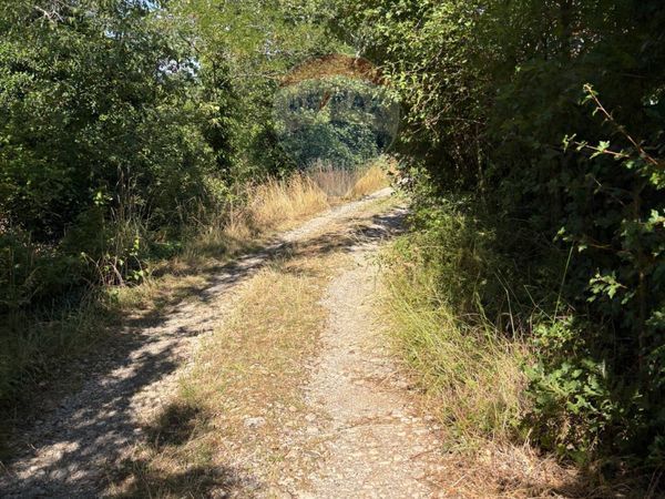 Terreno Aurisina, Duino-Aurisina, TS Vendita - Foto 2