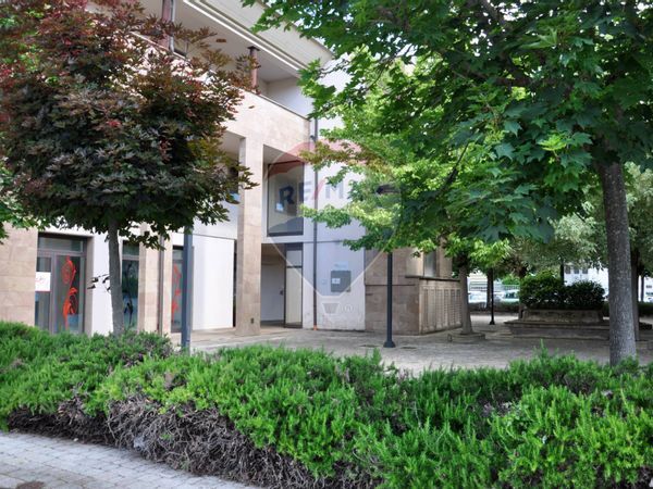 Locale Commerciale Colli Alti, Signa, FI Affitto - Foto 2