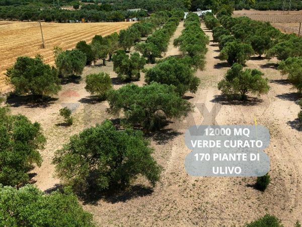 Terreno Villasor, SU Vendita