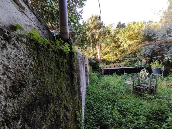 Casa Indipendente Monforte San Giorgio, ME Vendita - Foto 4
