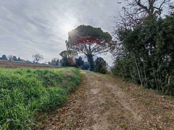 Cascina/Casale Recanati, MC Vendita - Foto 2