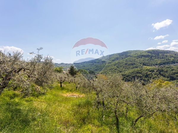 Terreno Osteria Nuova, Bagno a Ripoli, FI Vendita - Foto 4