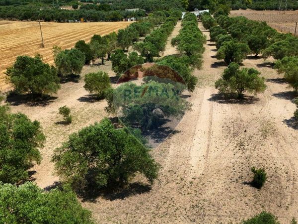 Terreno Villasor, SU Vendita - Foto 3