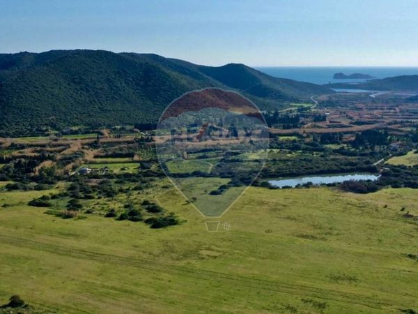 Cascina/Casale Teulada, SU Vendita - Foto 4