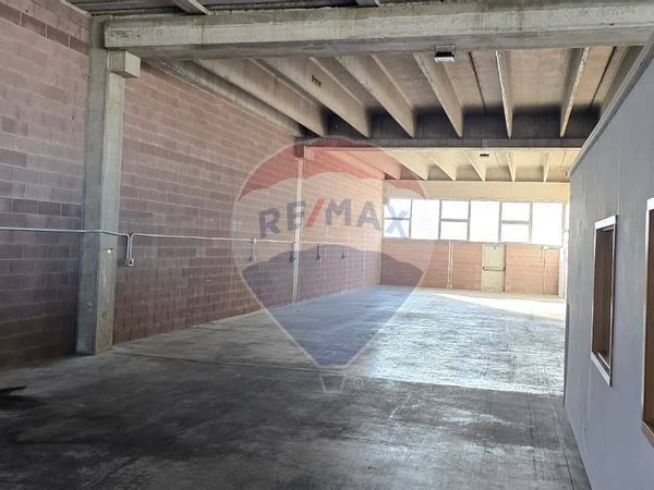 Capannone Industriale Polesella, RO Affitto - Foto 4