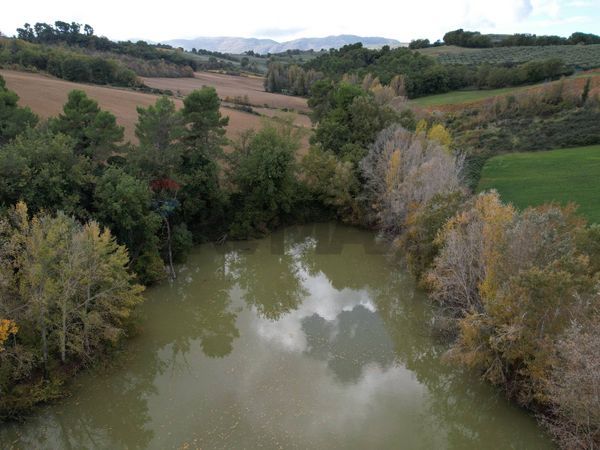 Azienda Agricola Torregrosso, Castel Ritaldi, PG Vendita - Foto 4