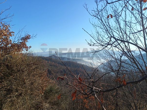 Cascina/Casale Cairo Montenotte, SV Vendita - Foto 4