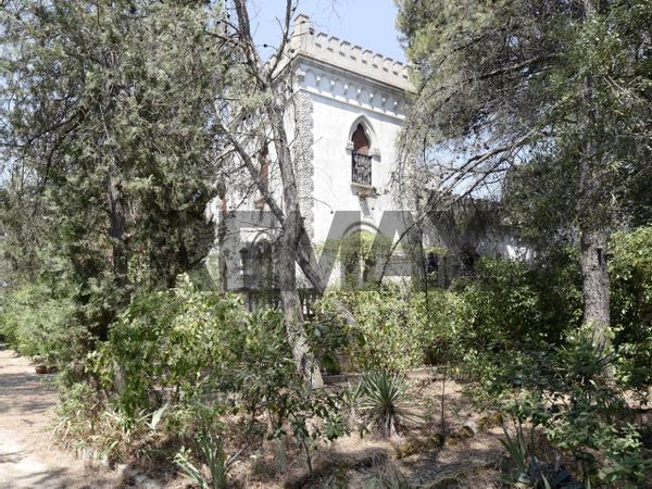 Villa o villino Gioia del Colle, BA Vendita