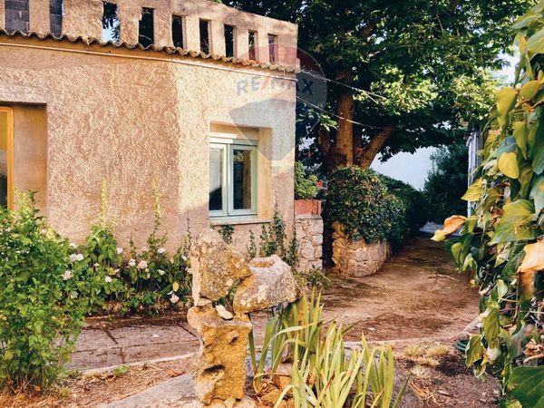 Cascina/Casale Aggius, SS Vendita - Foto 2