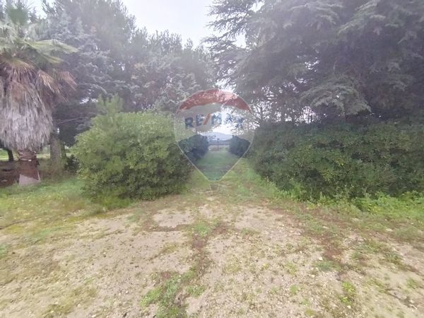 Casa Indipendente Nardò, LE Vendita - Foto 4