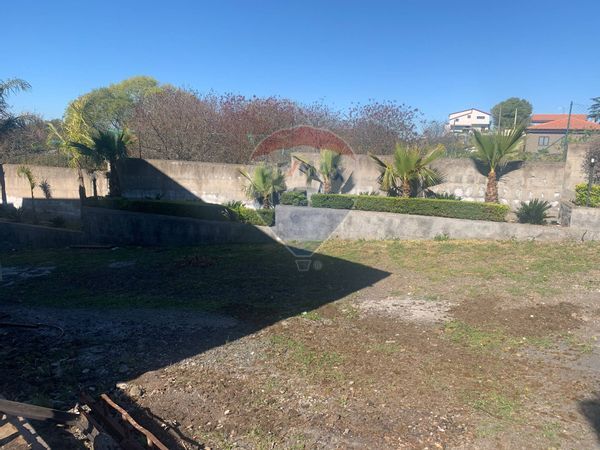 Villa singola Belpasso, CT Affitto - Foto 2