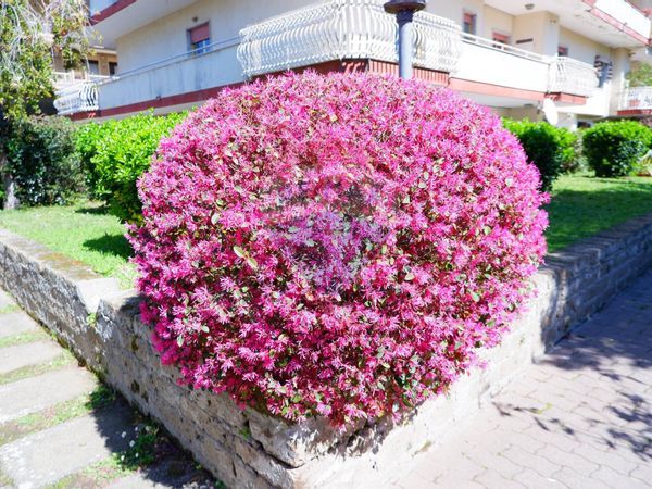 Appartamento Centro, Caserta, CE Vendita - Foto 4