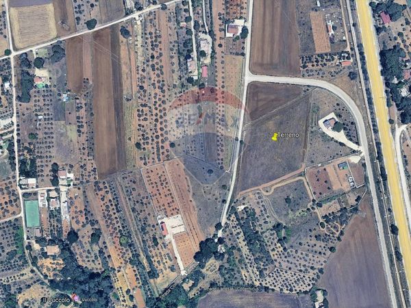 Terreno Edificabile Altamura, BA Vendita