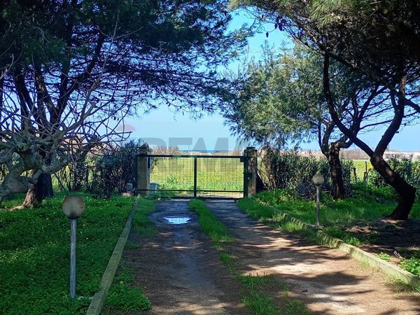 Villa singola Zona Mitrano, Brindisi, BR Vendita - Foto 3