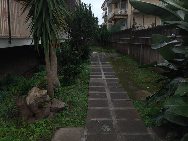 Appartamento Fiumefreddo di Sicilia, CT Vendita - Foto 2