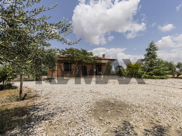 Villa singola Troia, FG Vendita - Foto 2