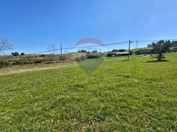 Terreno Edificabile San Marco Argentano, CS Vendita - Foto 2