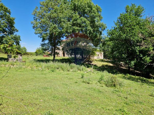 Terreno San Giorgio a Liri, FR Vendita - Foto 4