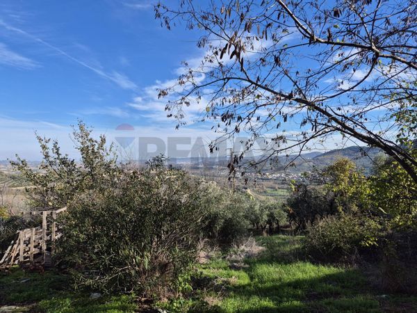 Casa Indipendente Altino, CH Vendita - Foto 3
