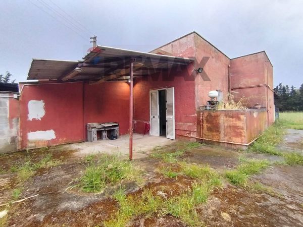 Casa Indipendente Galatina, LE Vendita - Foto 2