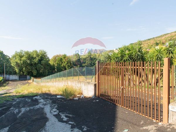 Terreno Zafferana Etnea, CT Affitto - Foto 2